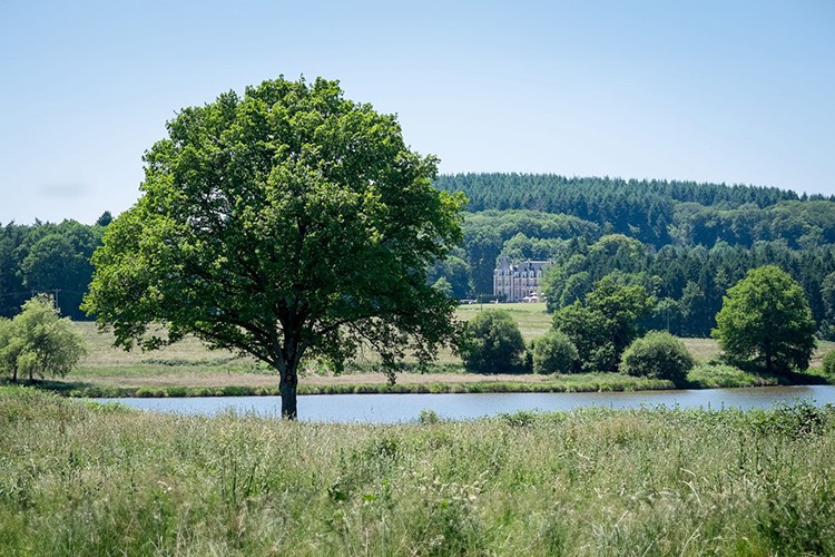 Planning a Destination Wedding: Why the Limousin is your Ideal Location